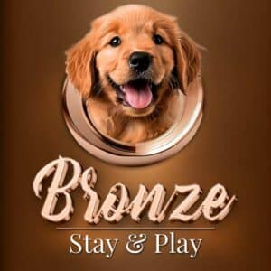 Bronze Stay and Play package