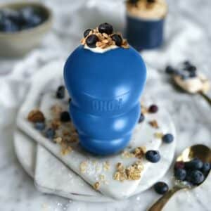 Frozen blueberry and oats kong treat