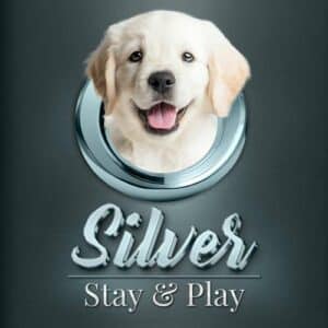 Silver Stay and Play package